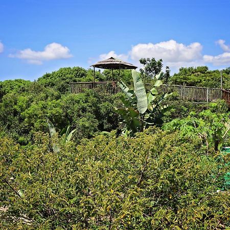 Kosi Bay Lodge Manguzi Luaran gambar